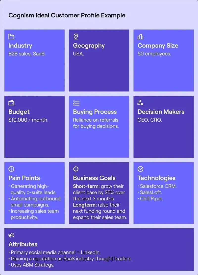 MVP ideal customer profile infographic example